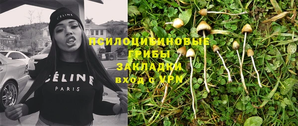 ПСИЛОЦИБИНОВЫЕ ГРИБЫ Алексеевка