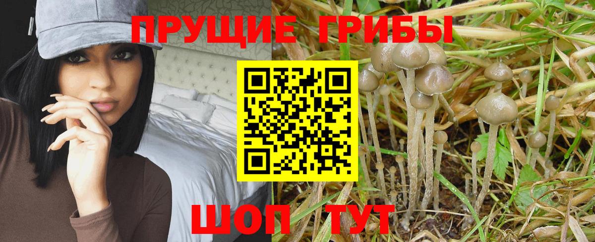 Саки  Галлюциногенные грибы ЛСД  Вход с VPN 